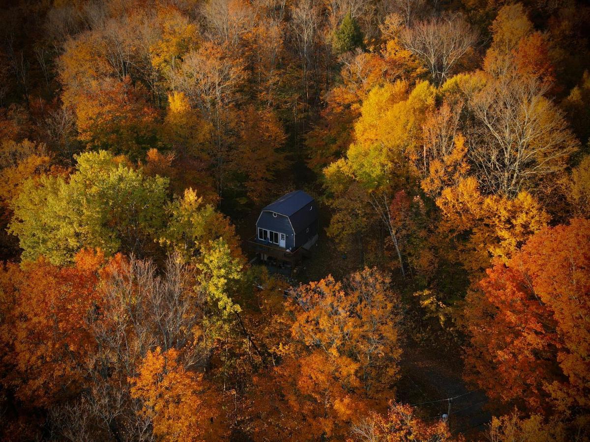 Mandy'S Mountain Chalet Dover Exterior photo